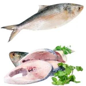 Kolkata/Bengali Hilsa Fish (Ilish Maach) Cut and Cleaned - 1 KG