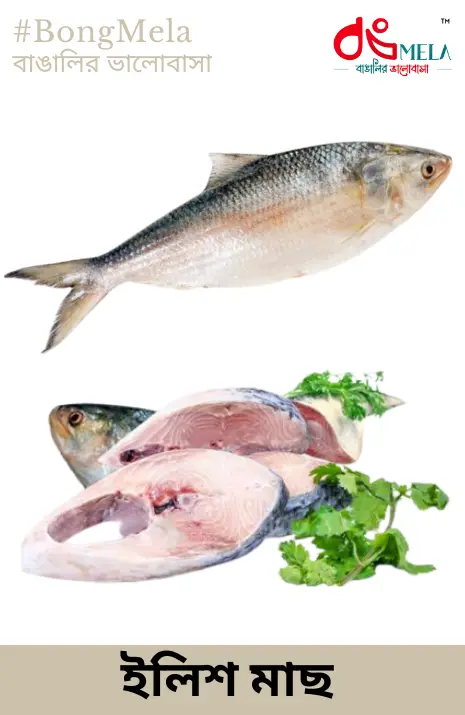 Kolkata/Bengali Hilsa Fish (Ilish Maach) Cut and Cleaned - 1 KG