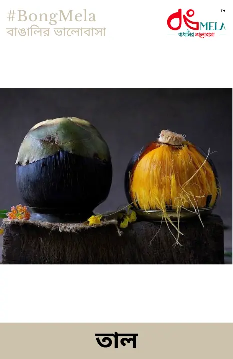 Palm Fruit / Tal Fruit (তাল) - 3 KG